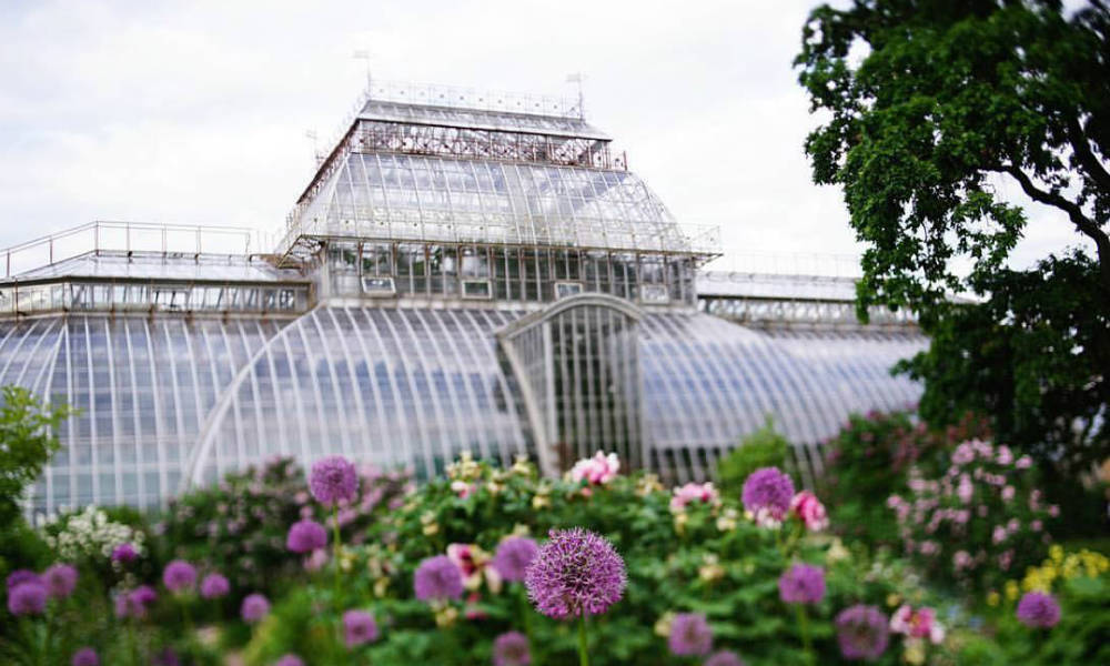 Петербургский ботанический сад (66 фото)